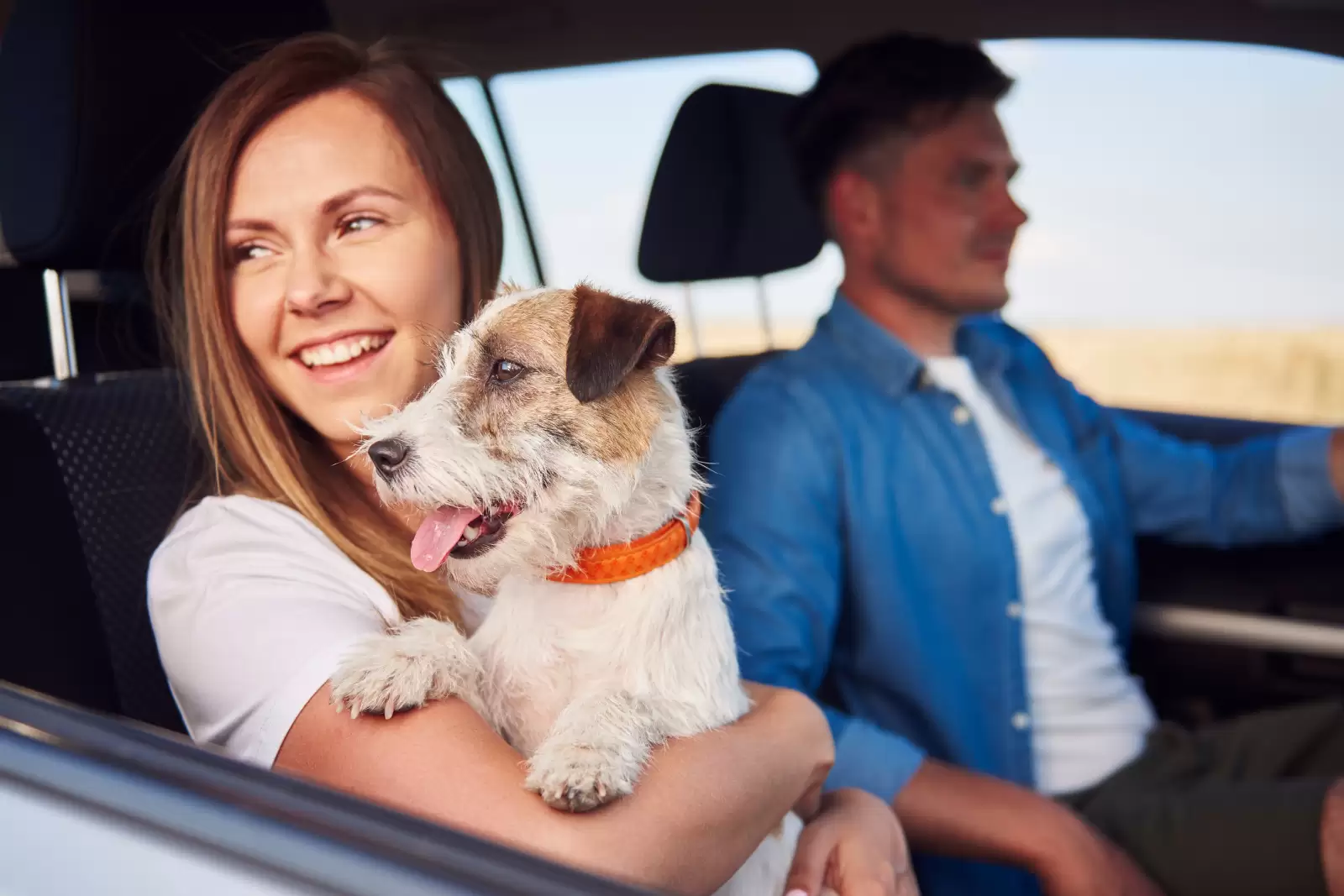Seguro de Proteção Financeira Volkswagen: homem e mulher viajando de carro. Ele está dirigindo e ela está segurando um cachorro na janela.